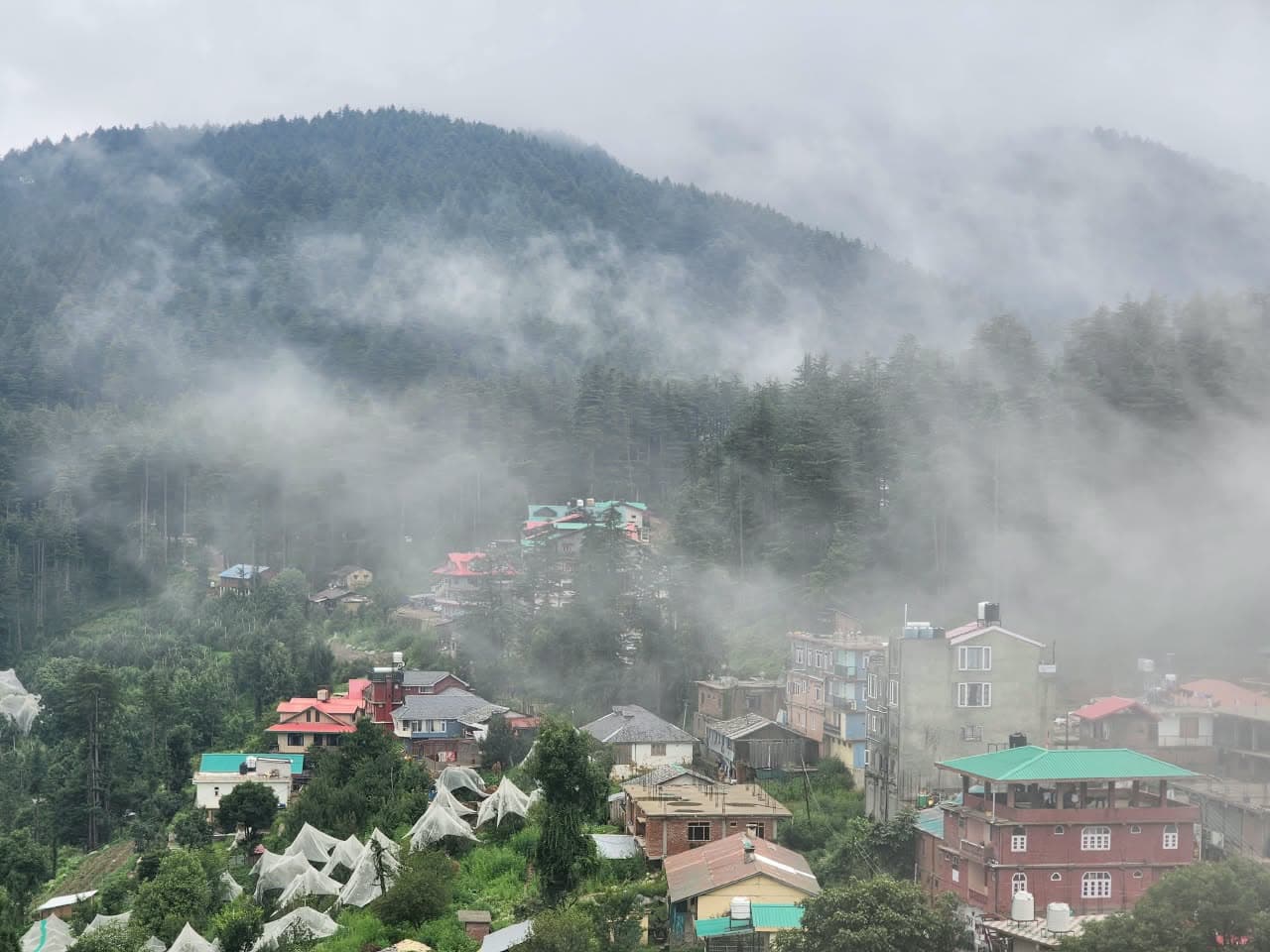 The Himalayan Shire property surrounded by pine forests