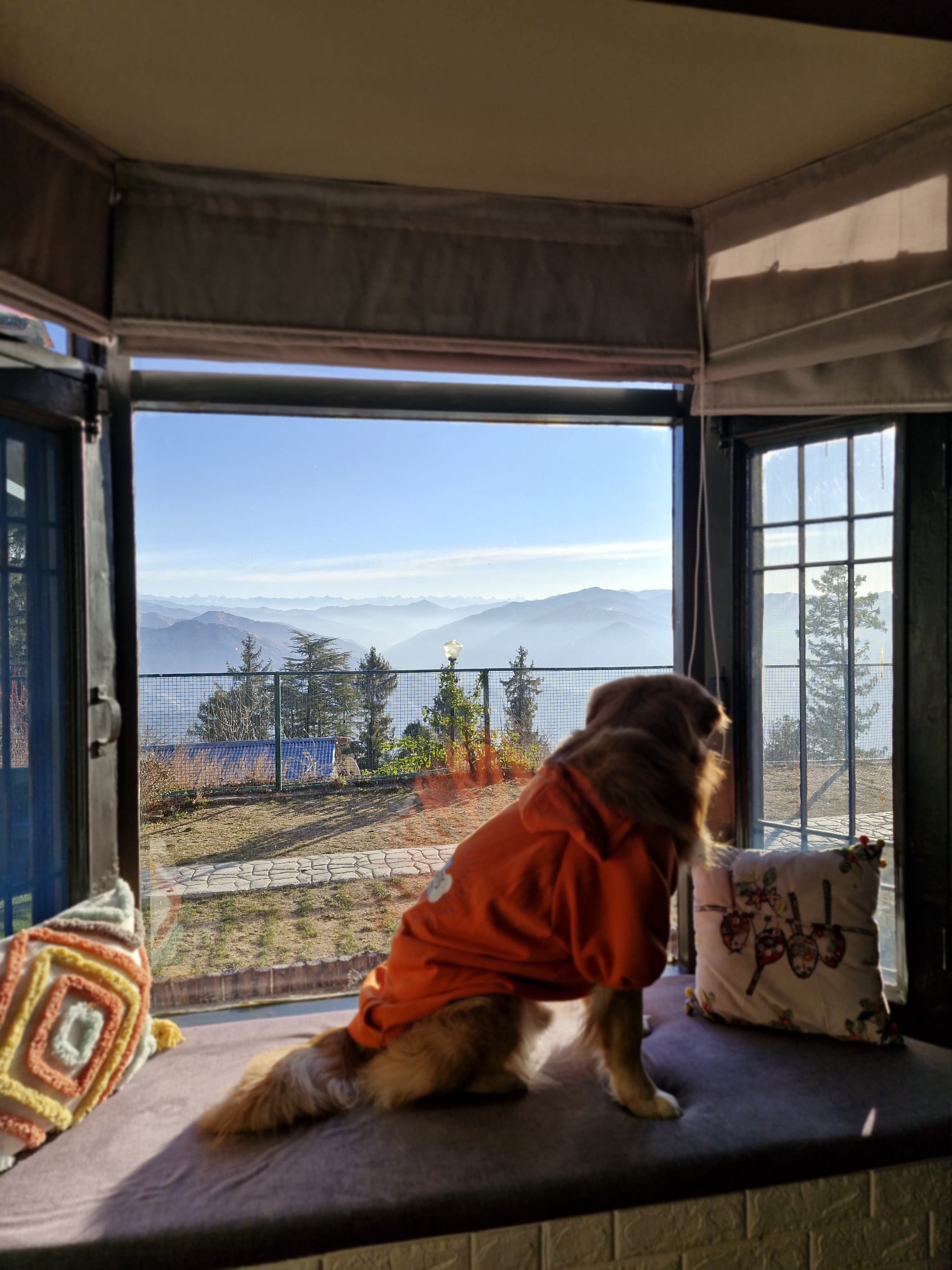 Pet-friendly stay