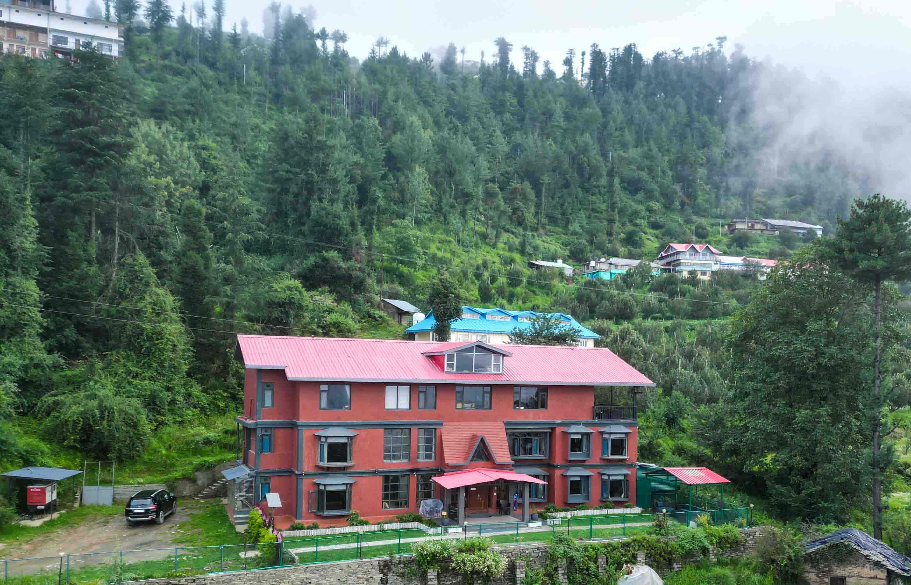 Surrounded By Greenery