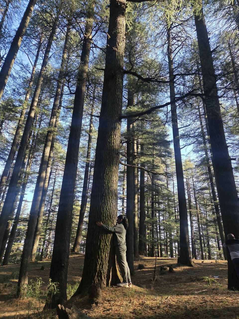 We love nature