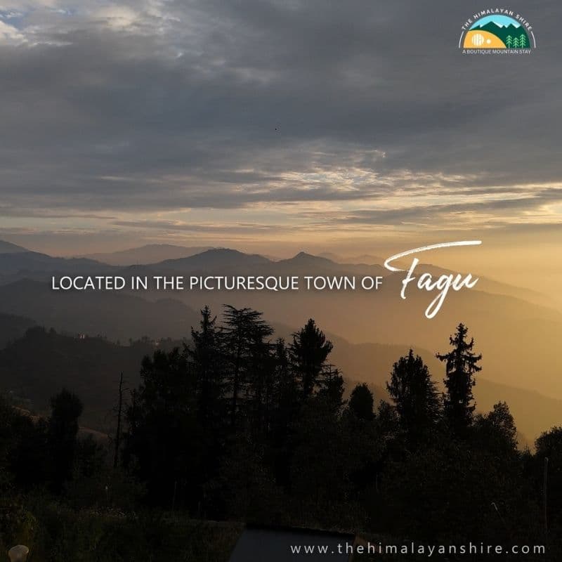 Why Should You Choose Fagu for Your Next Holiday Destination