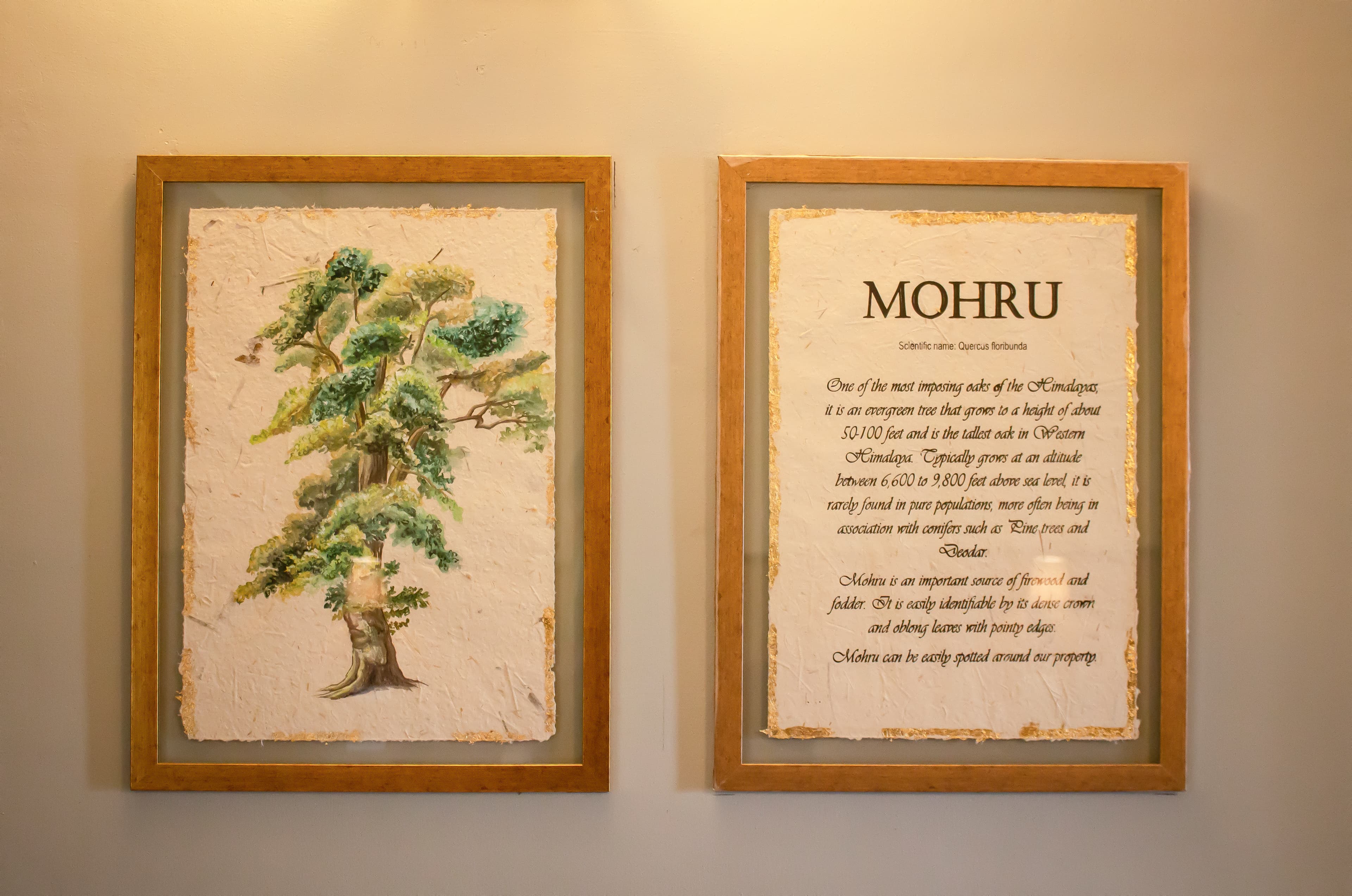 Mohru - Bathroom