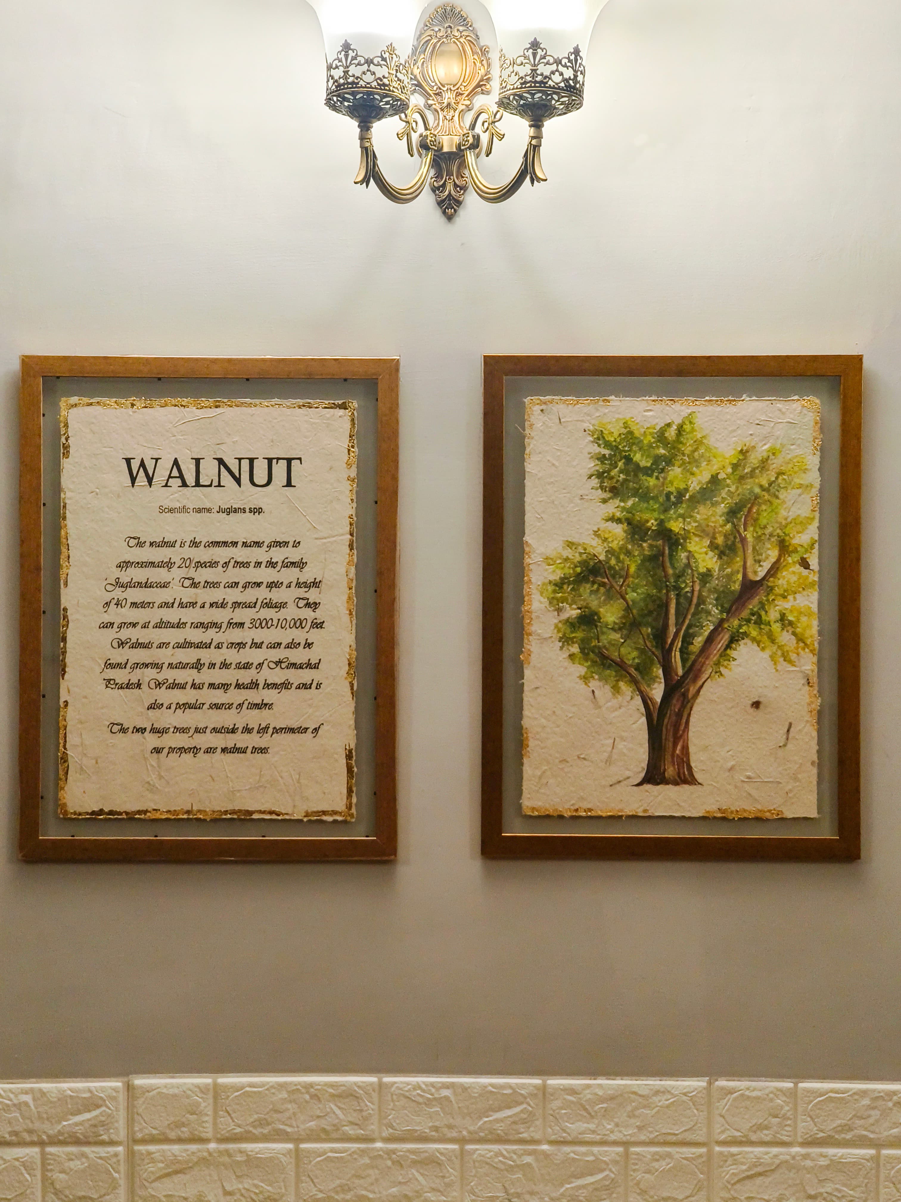 Walnut - Detail